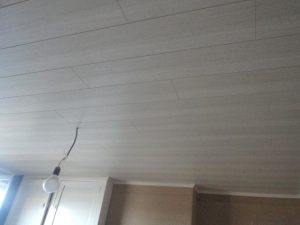 Panelen plafond