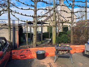 Schutting plaatsen