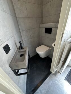 Toiletrenovatie